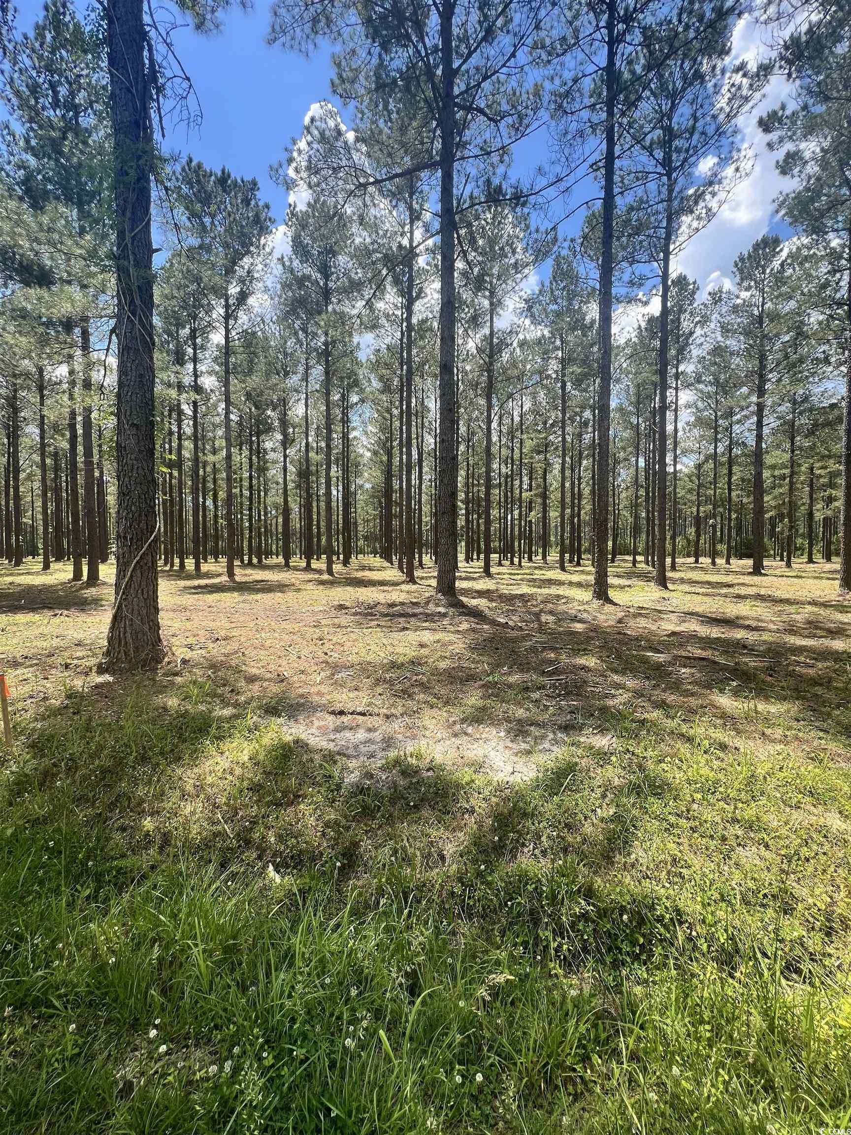 Property Photo:  Lot 4 Ashley Circle  SC 29526 