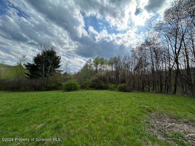 Property Photo:  Miller Road  PA 18471 