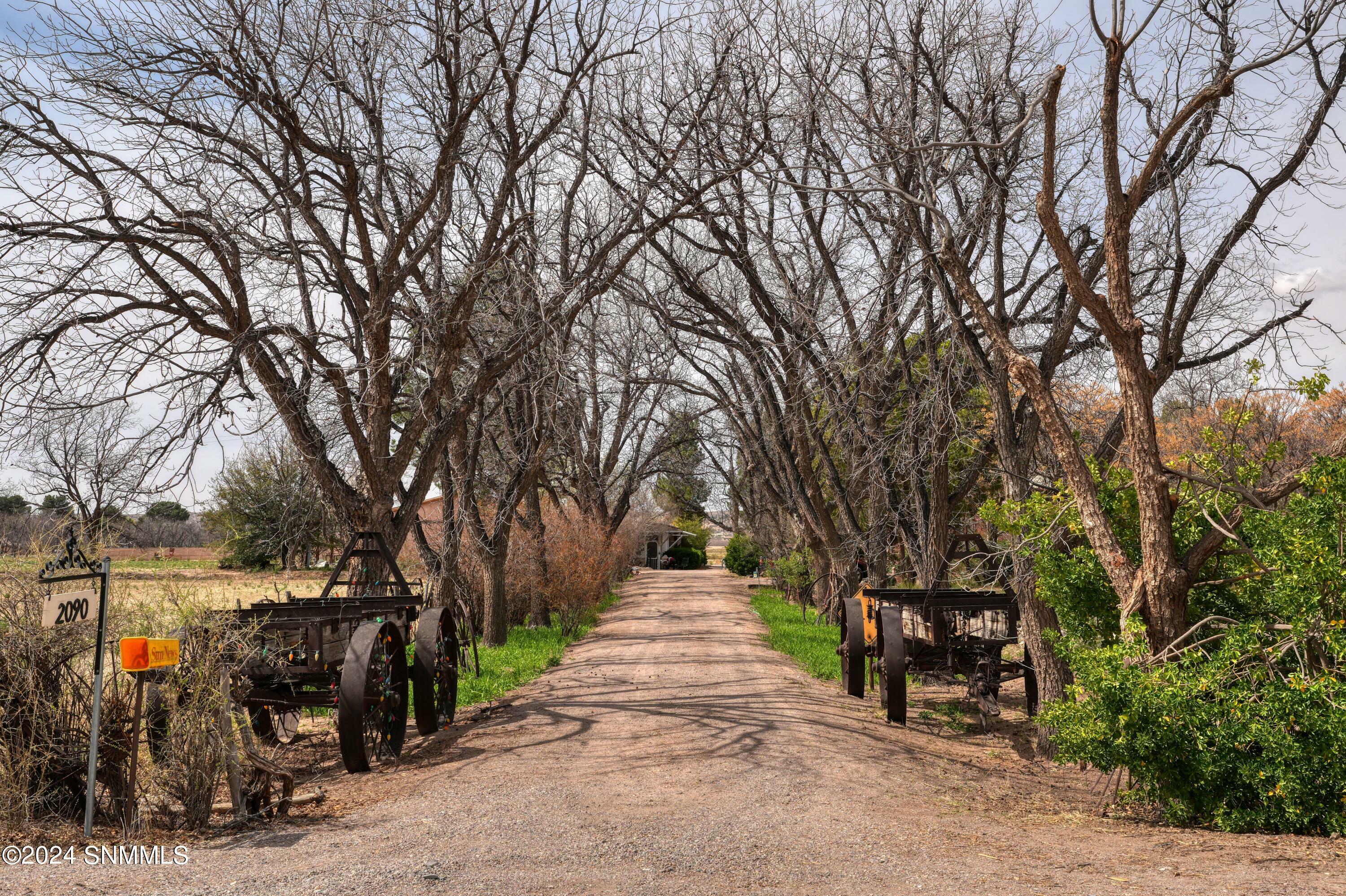 Property Photo:  2090 Snow Road  NM 88046 