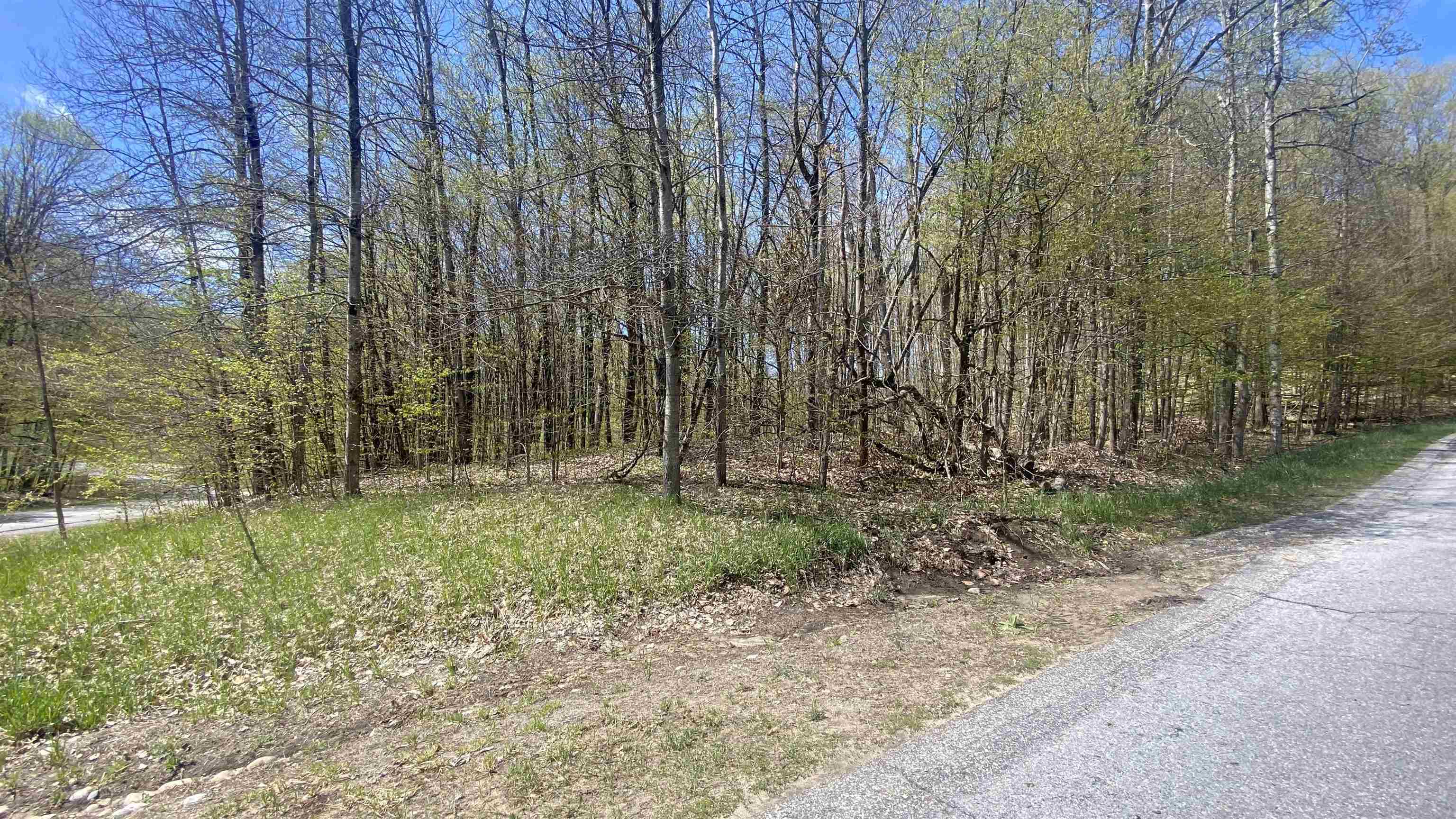 Property Photo:  Lot 105-106 East Village  MI 49615 