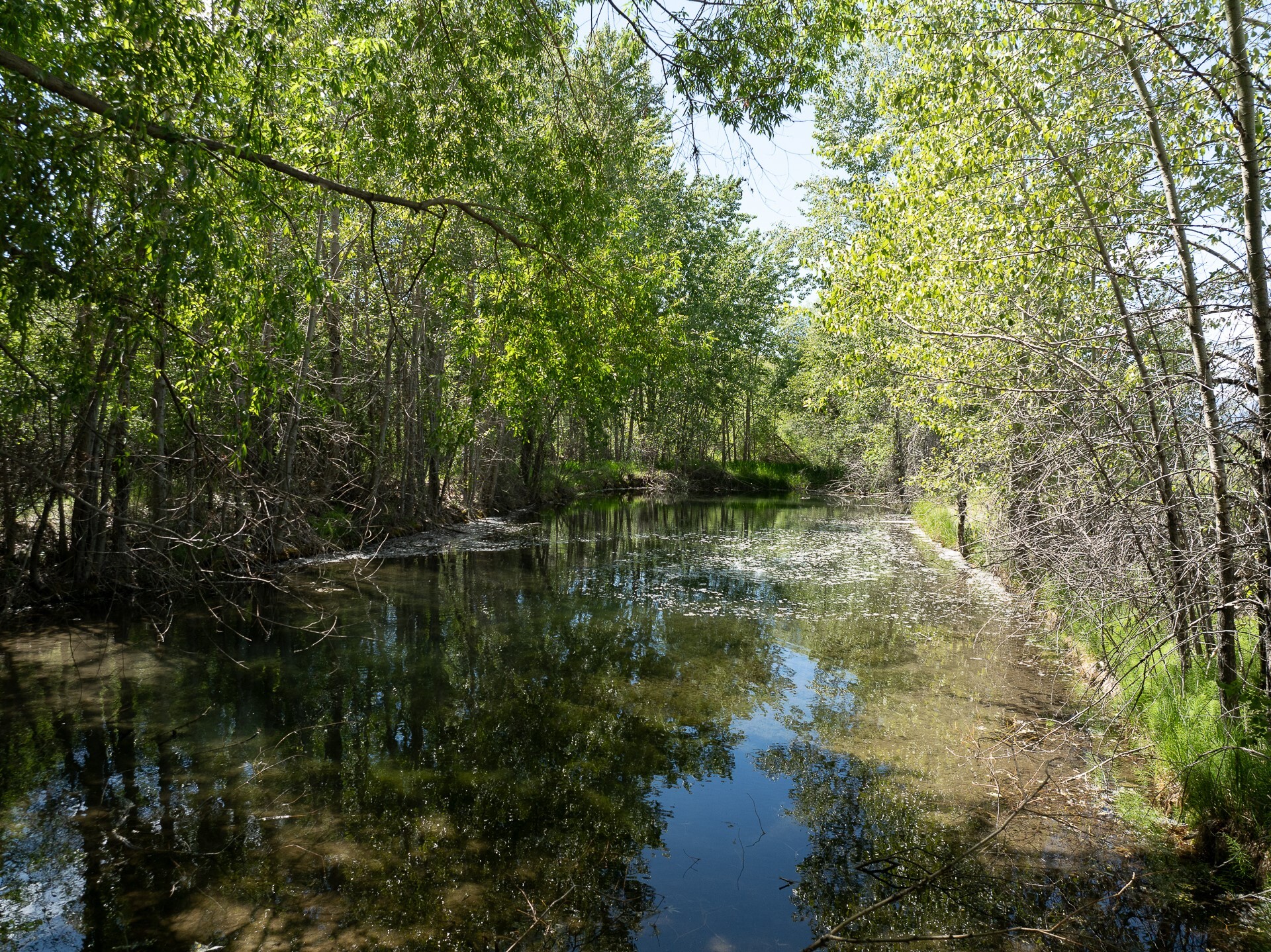 Property Photo:  2291 US Hwy 93 N  MT 59917 