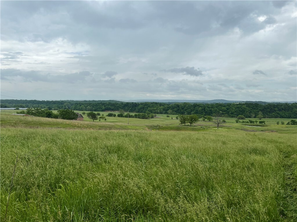 Cincinnati Creek Road  Summers AR 72769 photo