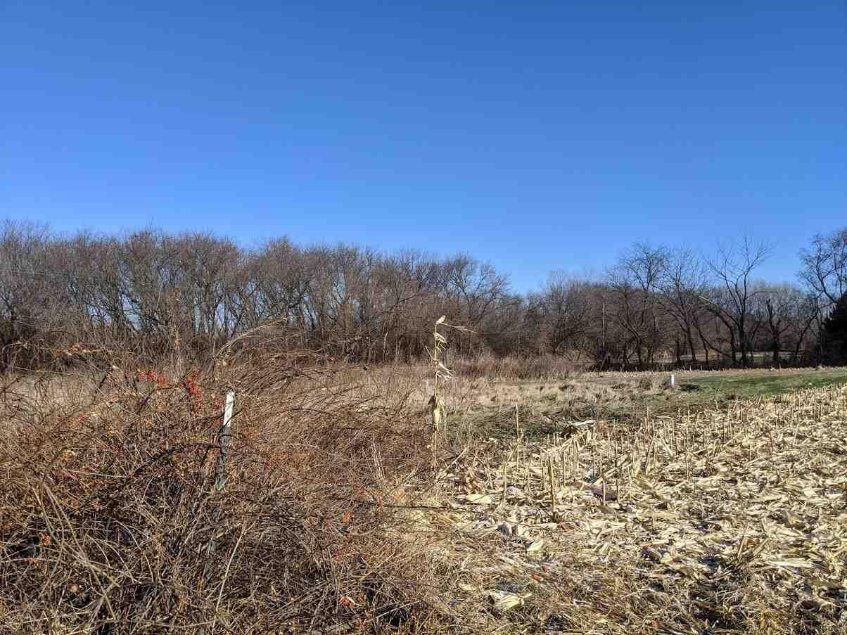 Property Photo:  Lot 1 Nelson Road  WI 53590 