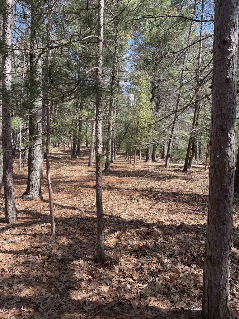 Property Photo:  1924 Deerpath Road  WI 54613 