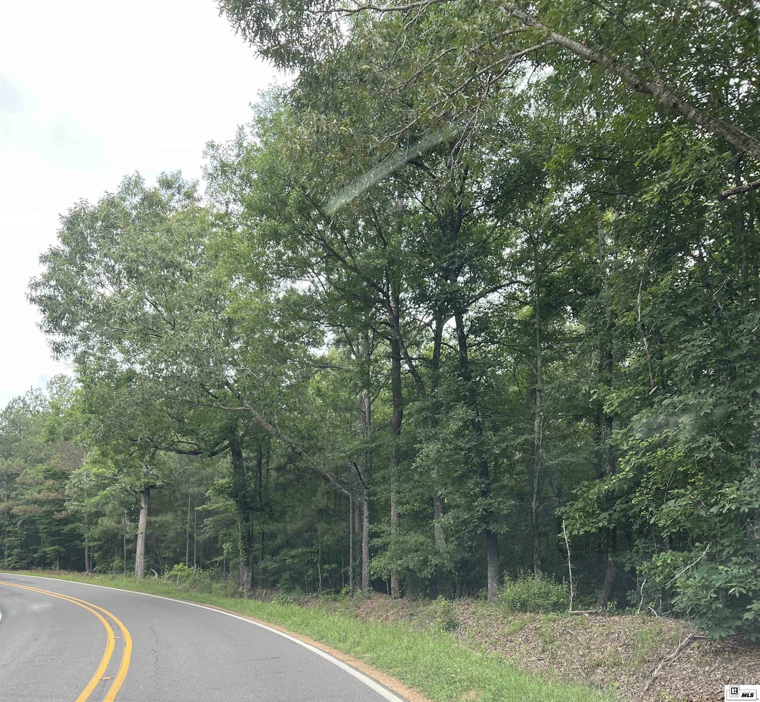 Property Photo: 000 Cut Thru Road LA 71435