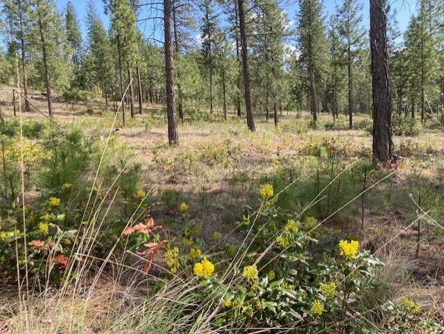 Property Photo: 1178 Fumi Cir WA 99141