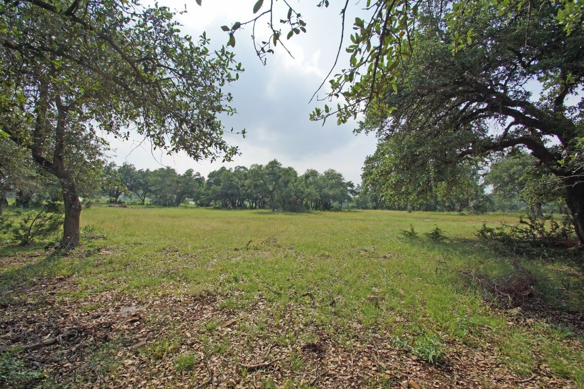 Property Photo:  1068 Eagle Point Drive  TX 78628 