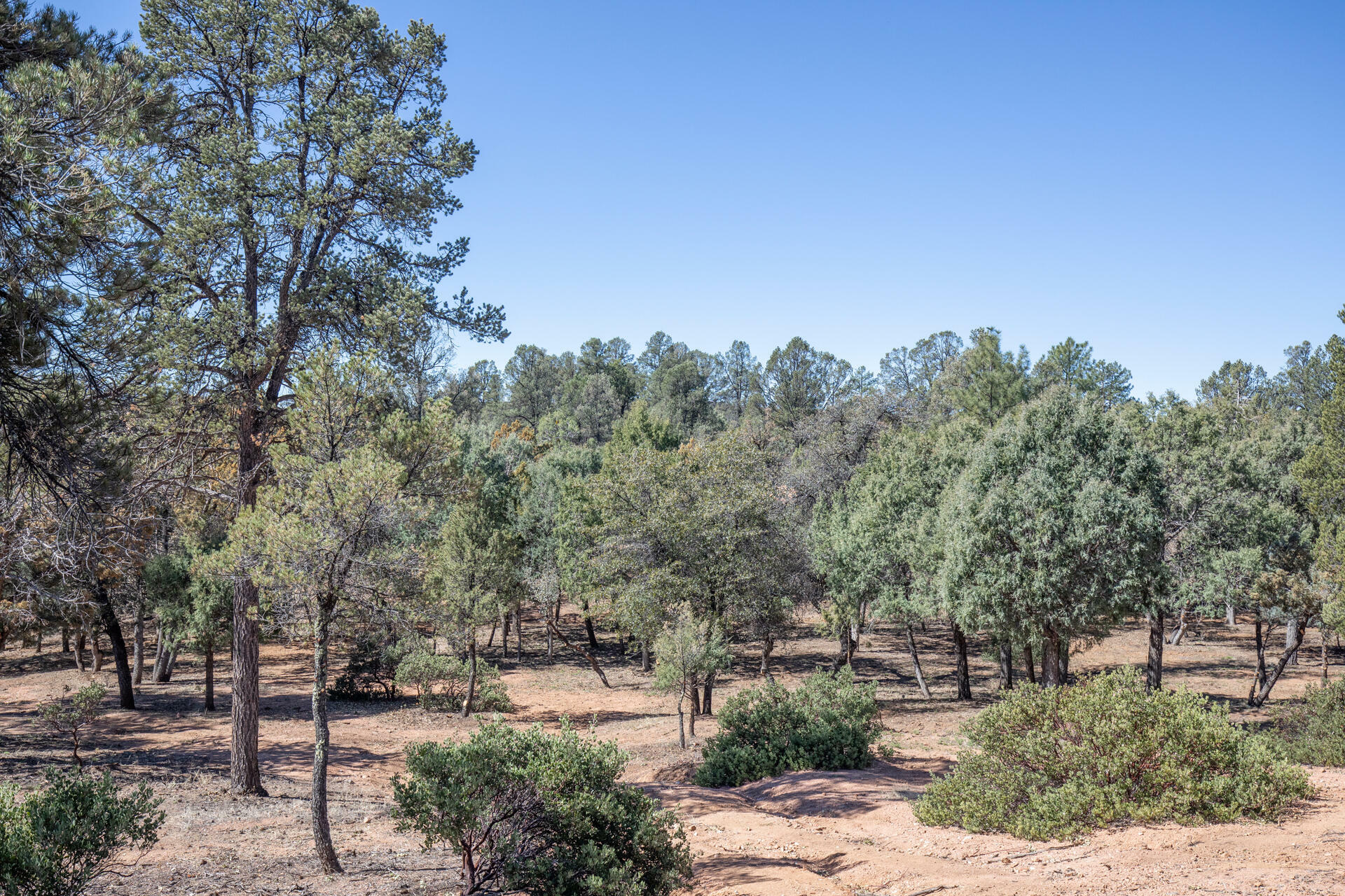 1802 E Underwood Lane  Payson AZ 85541 photo