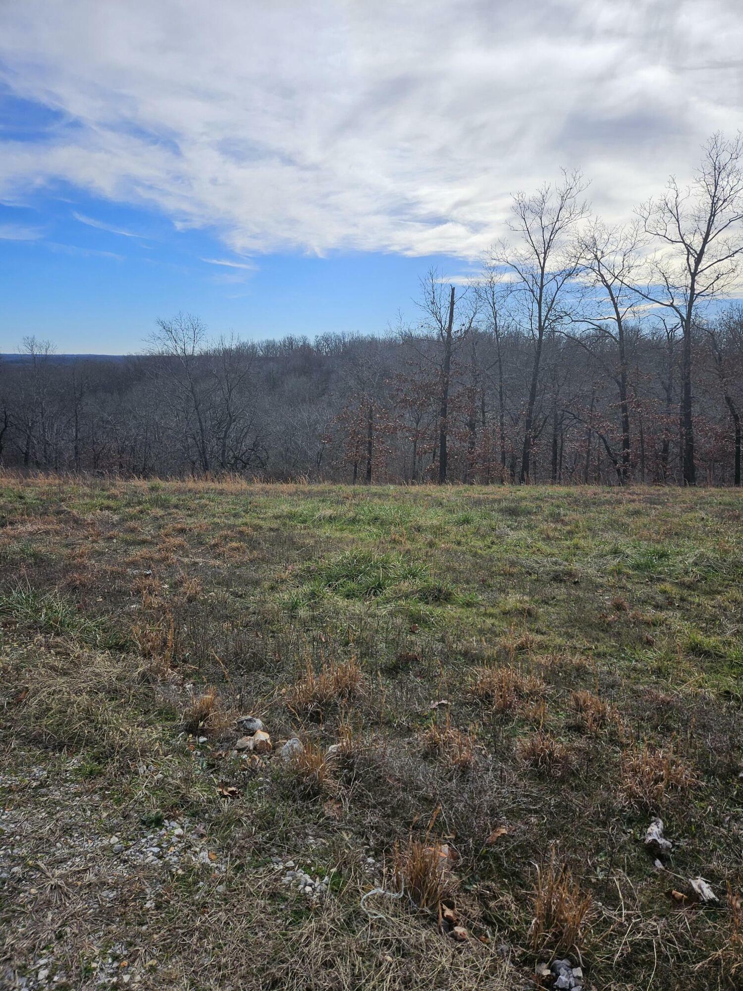 Property Photo:  22.76 Acre Styles Road  MO 64854 