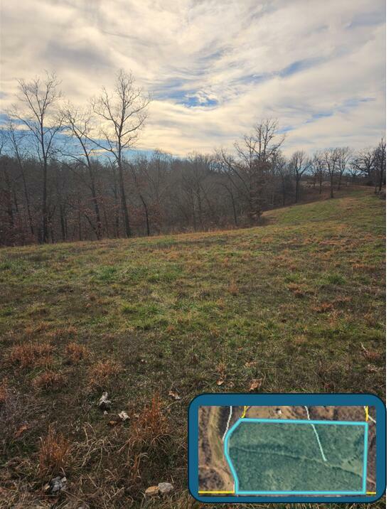 Property Photo:  26.24 Acre Styles Road  MO 64854 