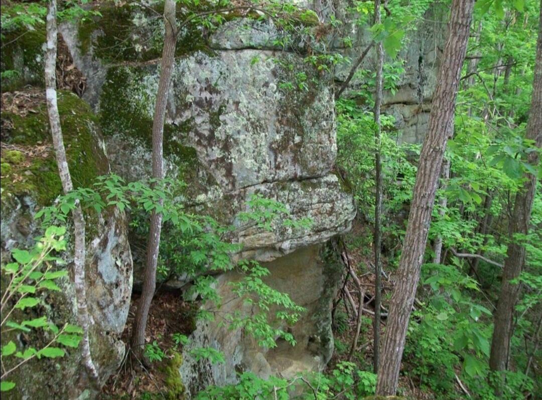 Property Photo:  Cliffside Pine Grove Rd  WV 25971 