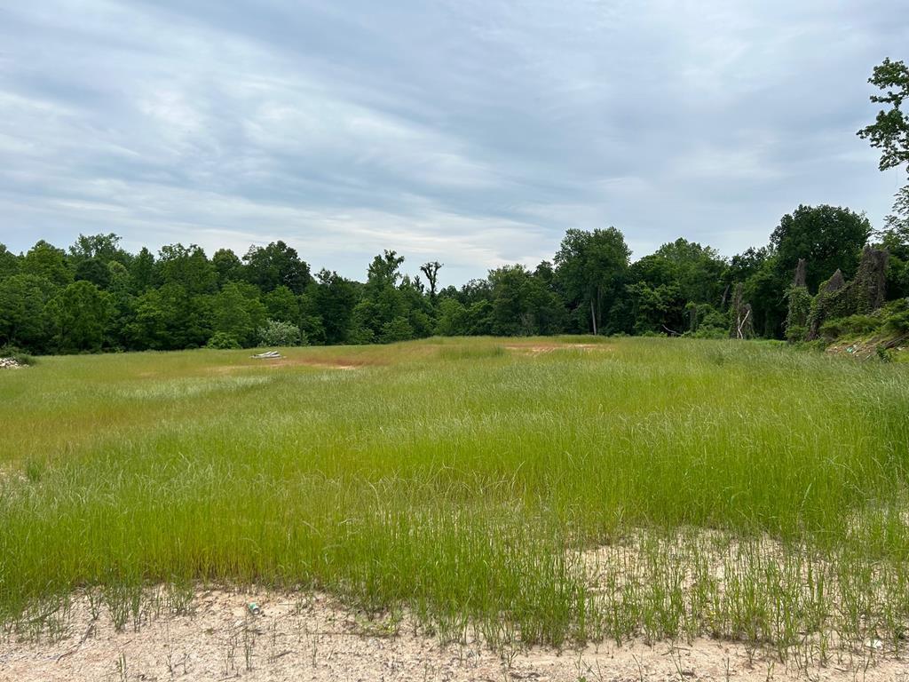 Property Photo:  0 Poplar St  TN 38242 