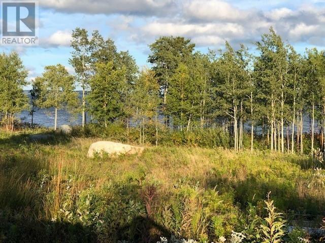 202 Comfort Cove Road  Comfort Cove-Newstead NL A0G 3A0 photo