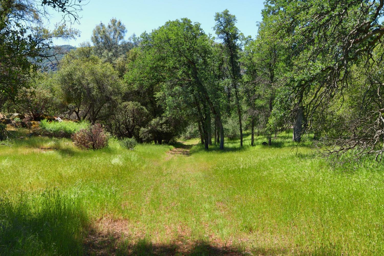 Property Photo:  0 19.6 Ac Road 425A  CA 93644 