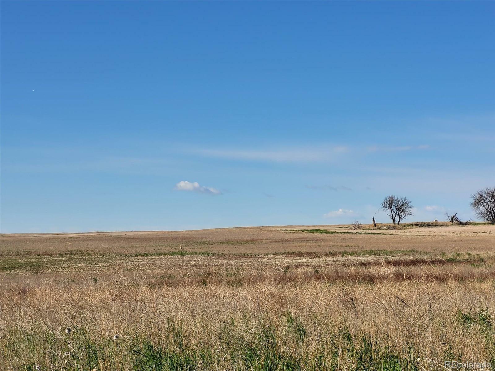 Property Photo:  Vacant Land 38th Avenue (West Parcel)  CO 80103 