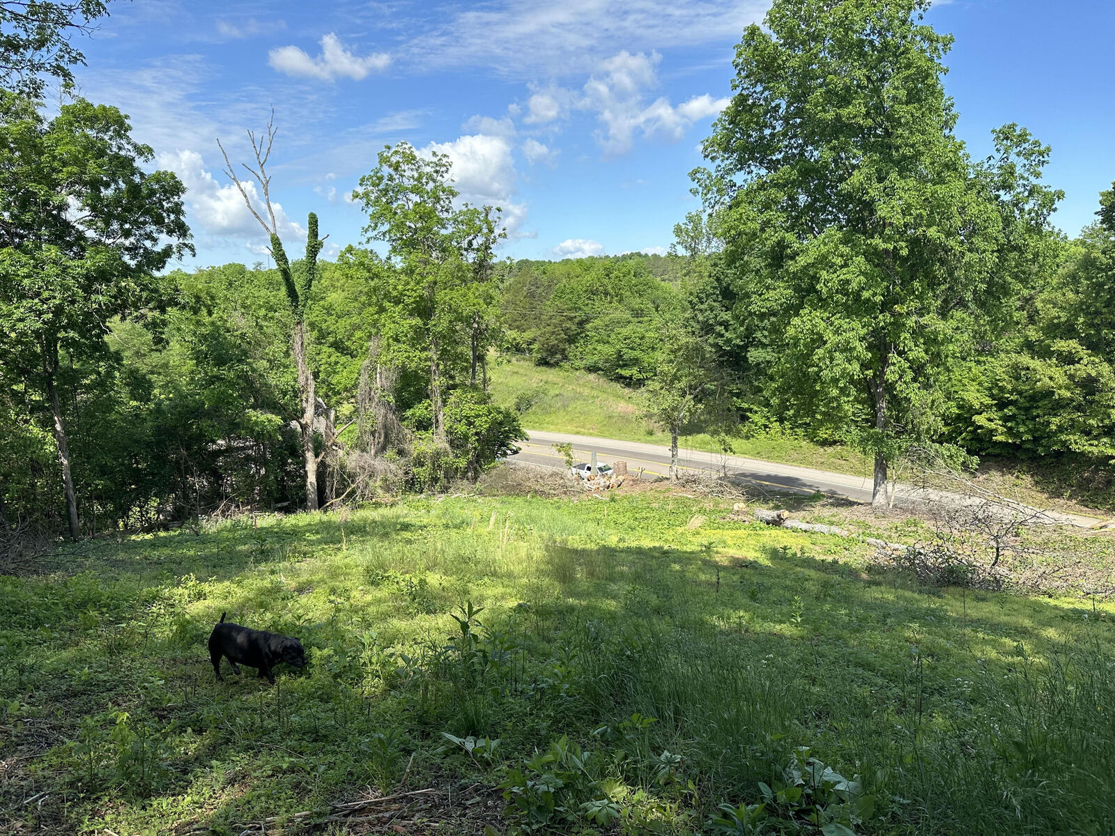 Property Photo: 13677 Chapman Hwy TN 37865