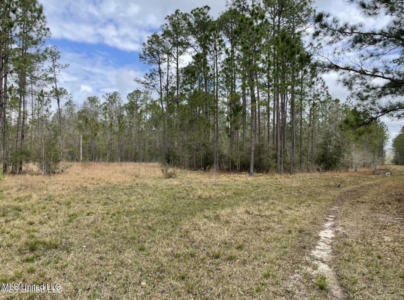 Property Photo:  Ms-43 Parcel 1  MS 39556 