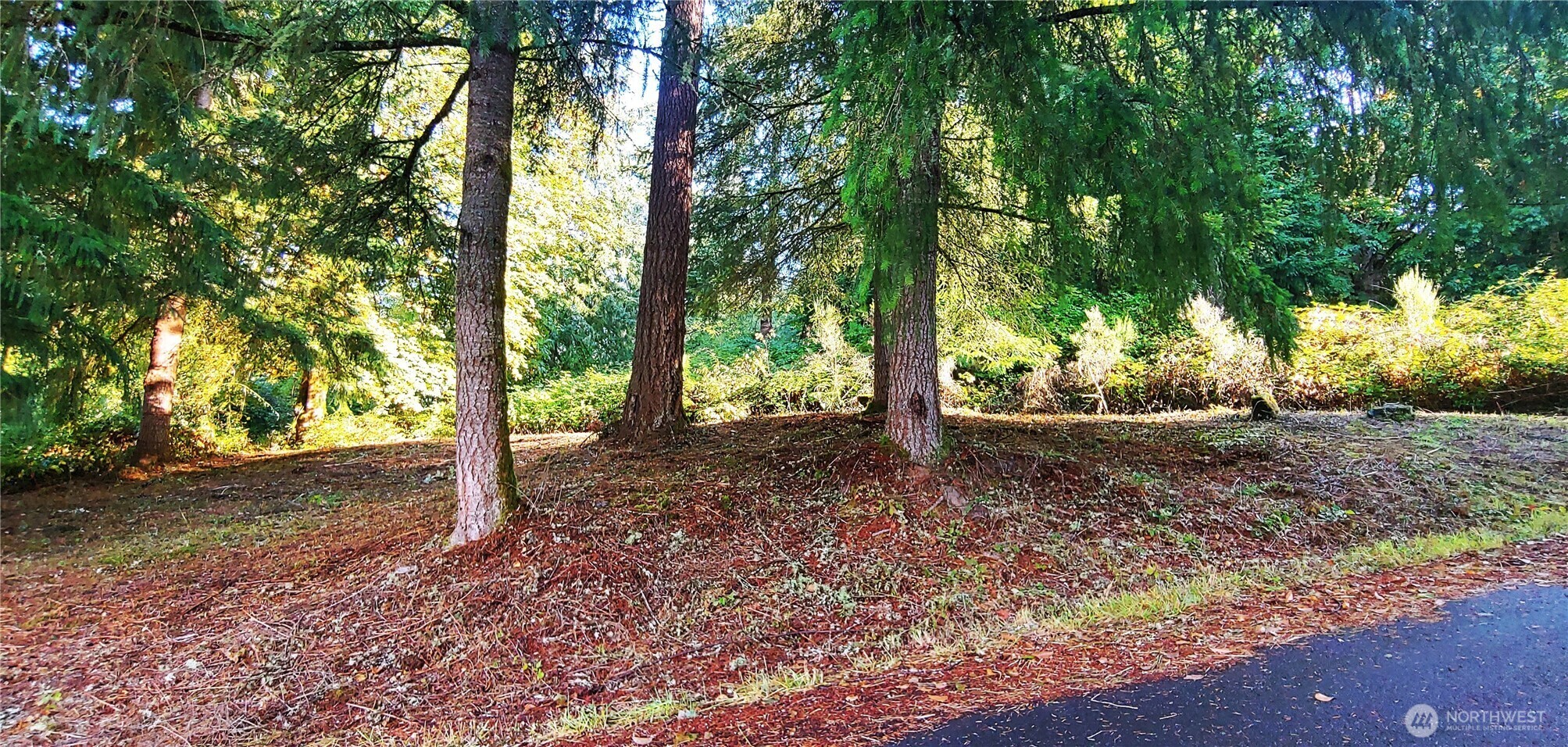 Property Photo: 0 Feather Ridge Drive WA 98625