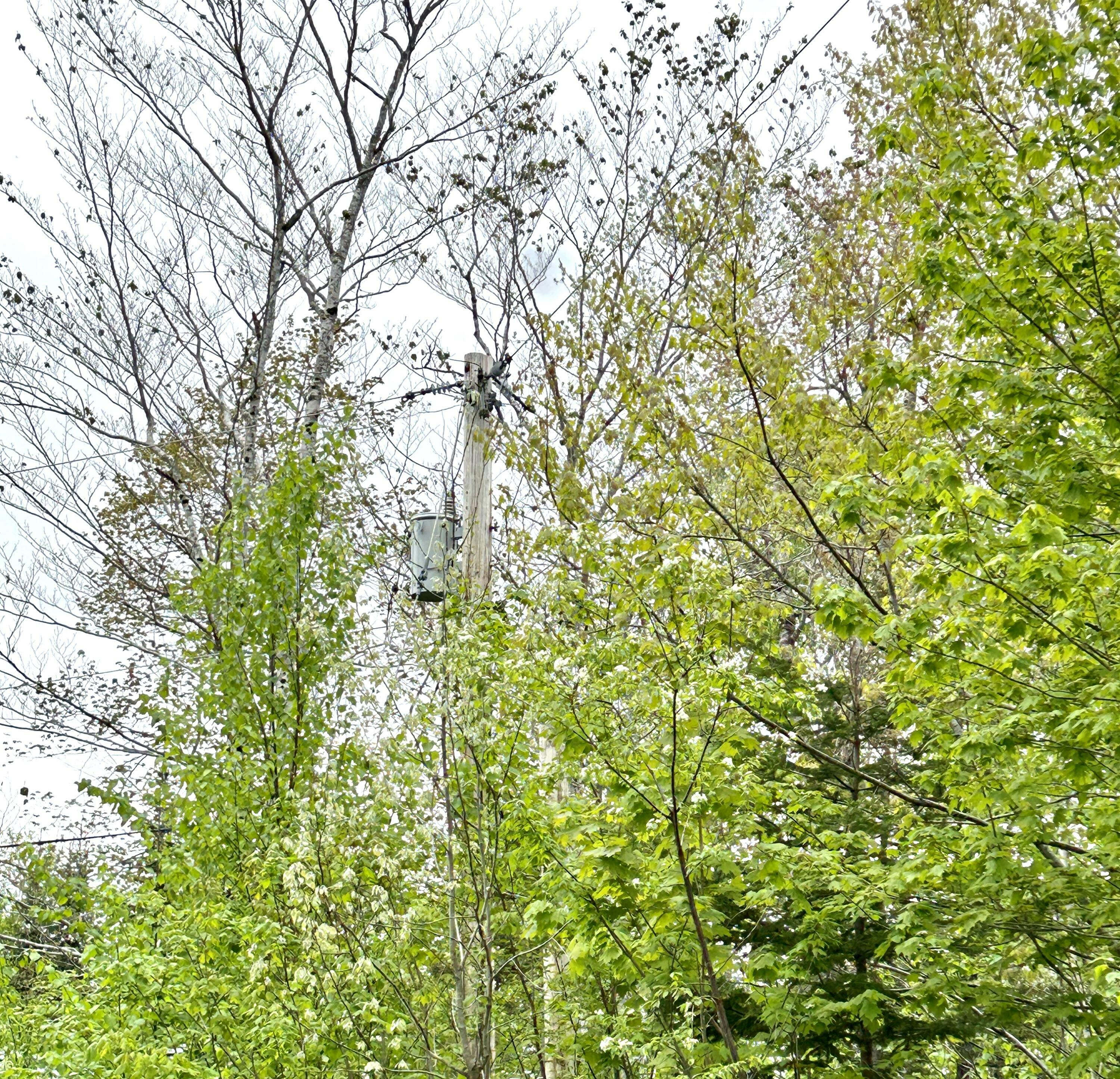 Property Photo:  Lot 14 Black Bear Drive  ME 04605 