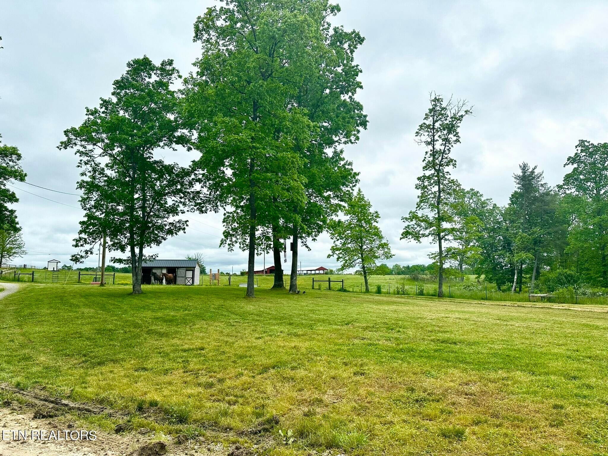 Property Photo:  1234 Ernest Norris Rd  TN 38556 