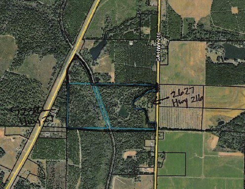 Property Photo:  262X Ga Hwy 216  GA 39840 