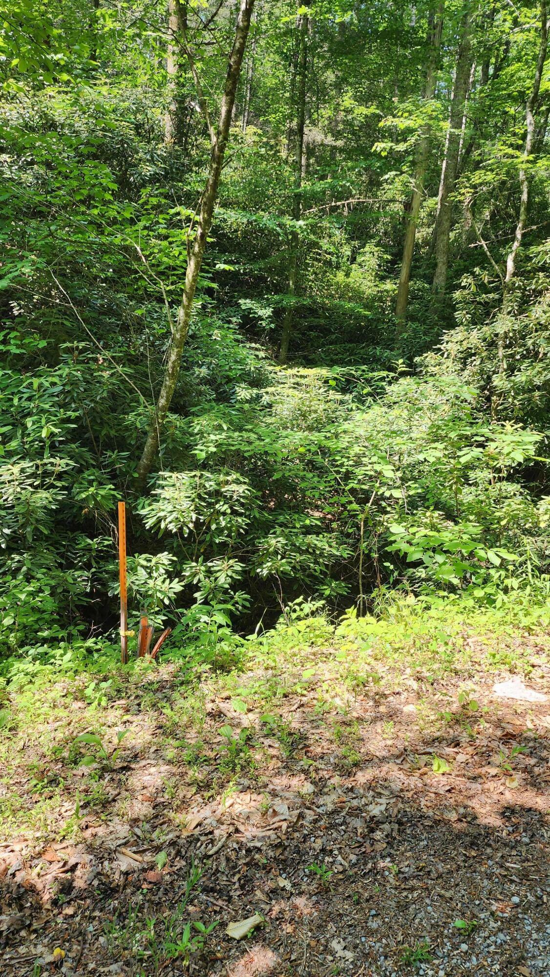 Property Photo:  0000 Chavis Road  TN 37722 