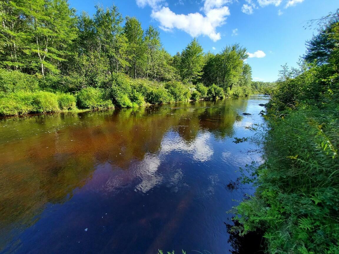 Property Photo: Lot 38 East Fork Road ME 04622