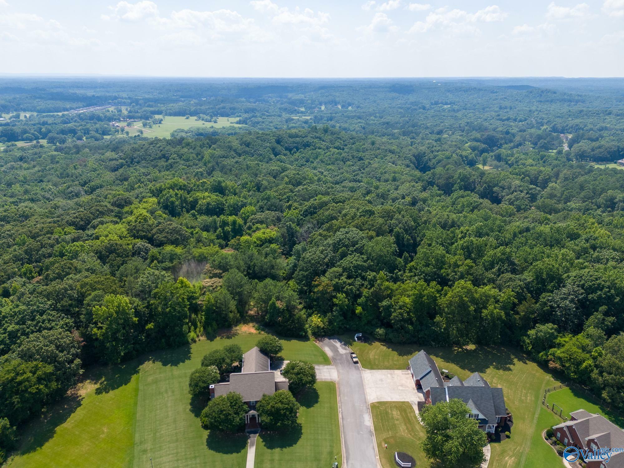 Property Photo:  25 Acres Anna Drive SW  AL 35603 