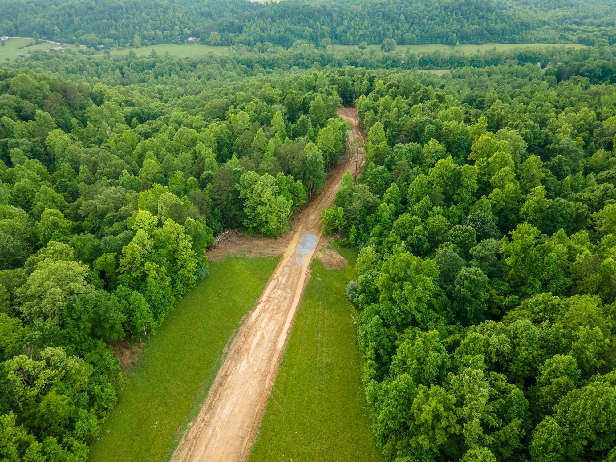 Property Photo:  Lot 142 Mt Morgan Road  KY 40769 