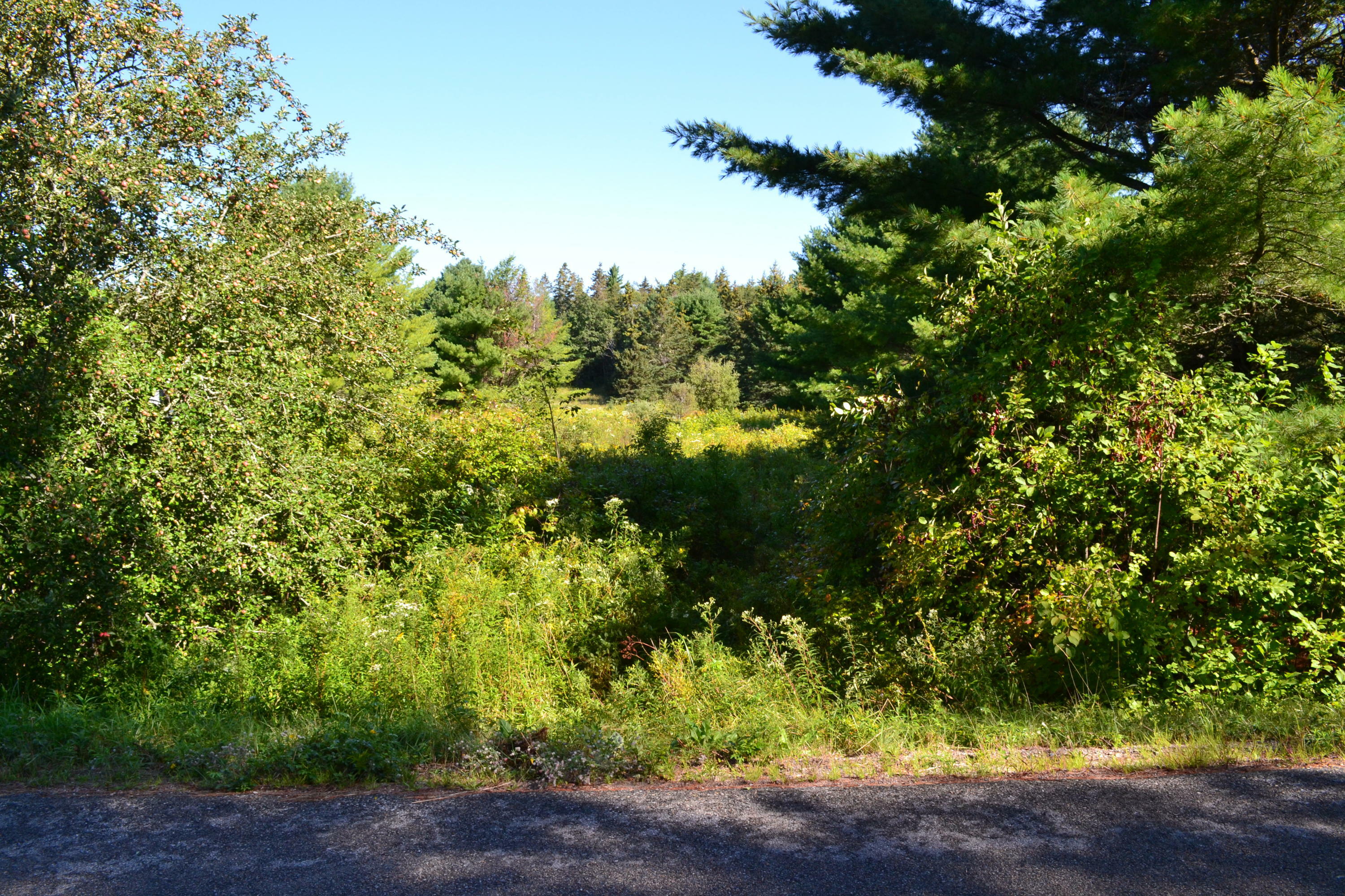 Property Photo:  Lot 1 Foster Lane  ME 04628 