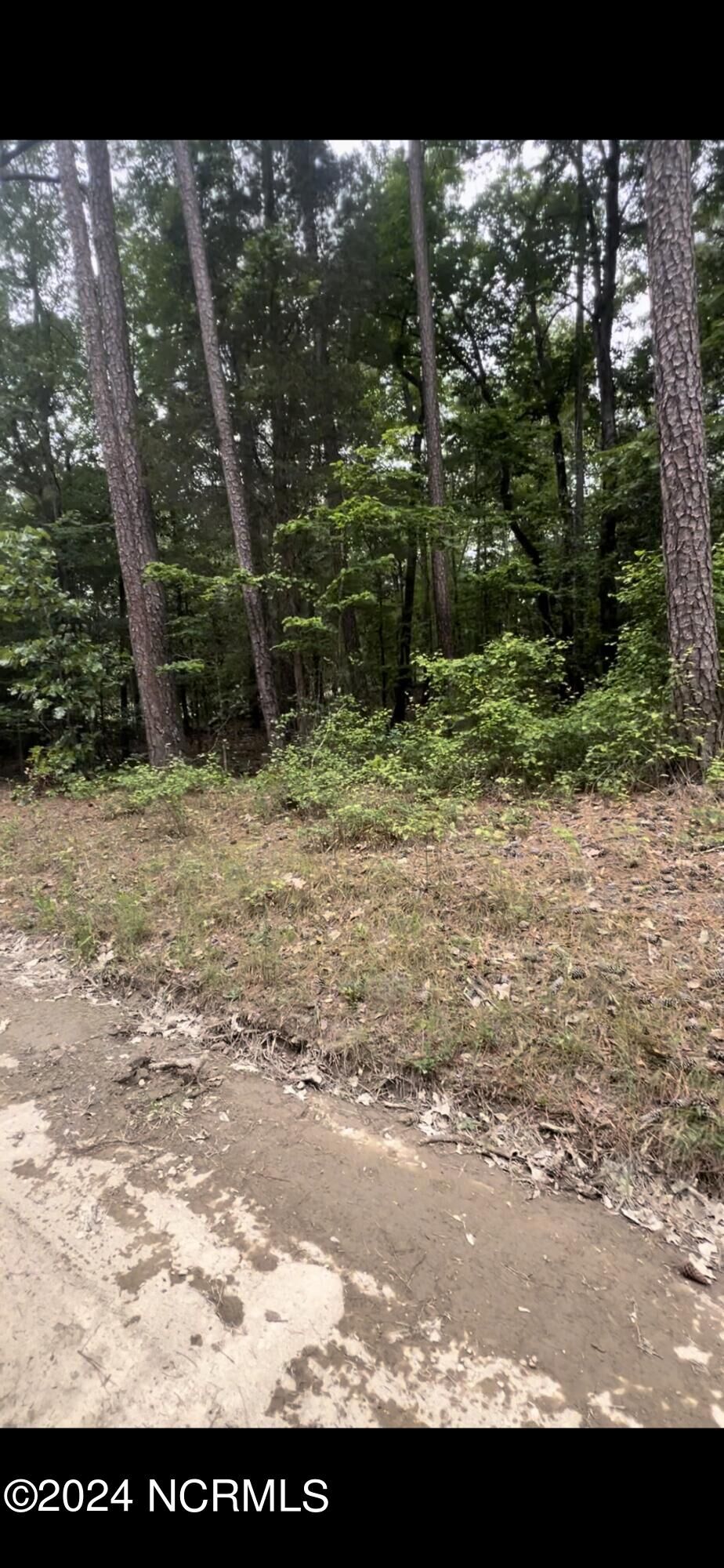 Property Photo: Lot 25 Cedar Ln Drive NC 27242