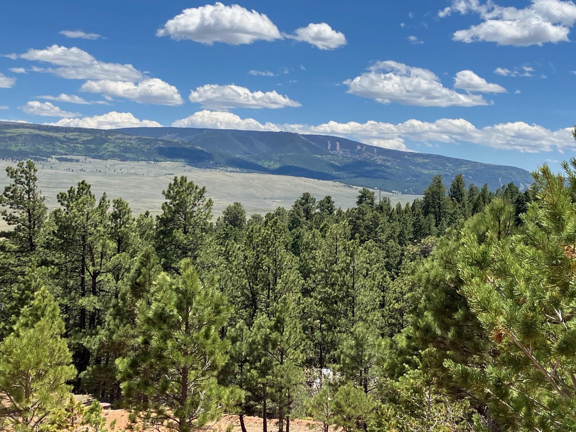 Property Photo:  106 Eagle Drive  NM 87718 