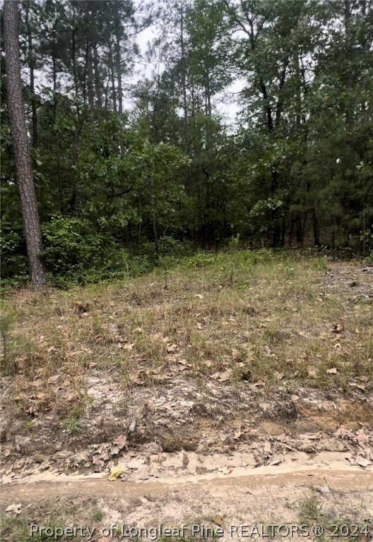 Property Photo:  Lot 23 Cedar Lane  NC 27242 