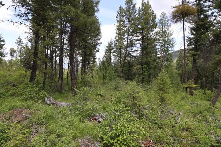 Property Photo: Nhn Tract 1B E Fork Combest Creek Road MT 59859