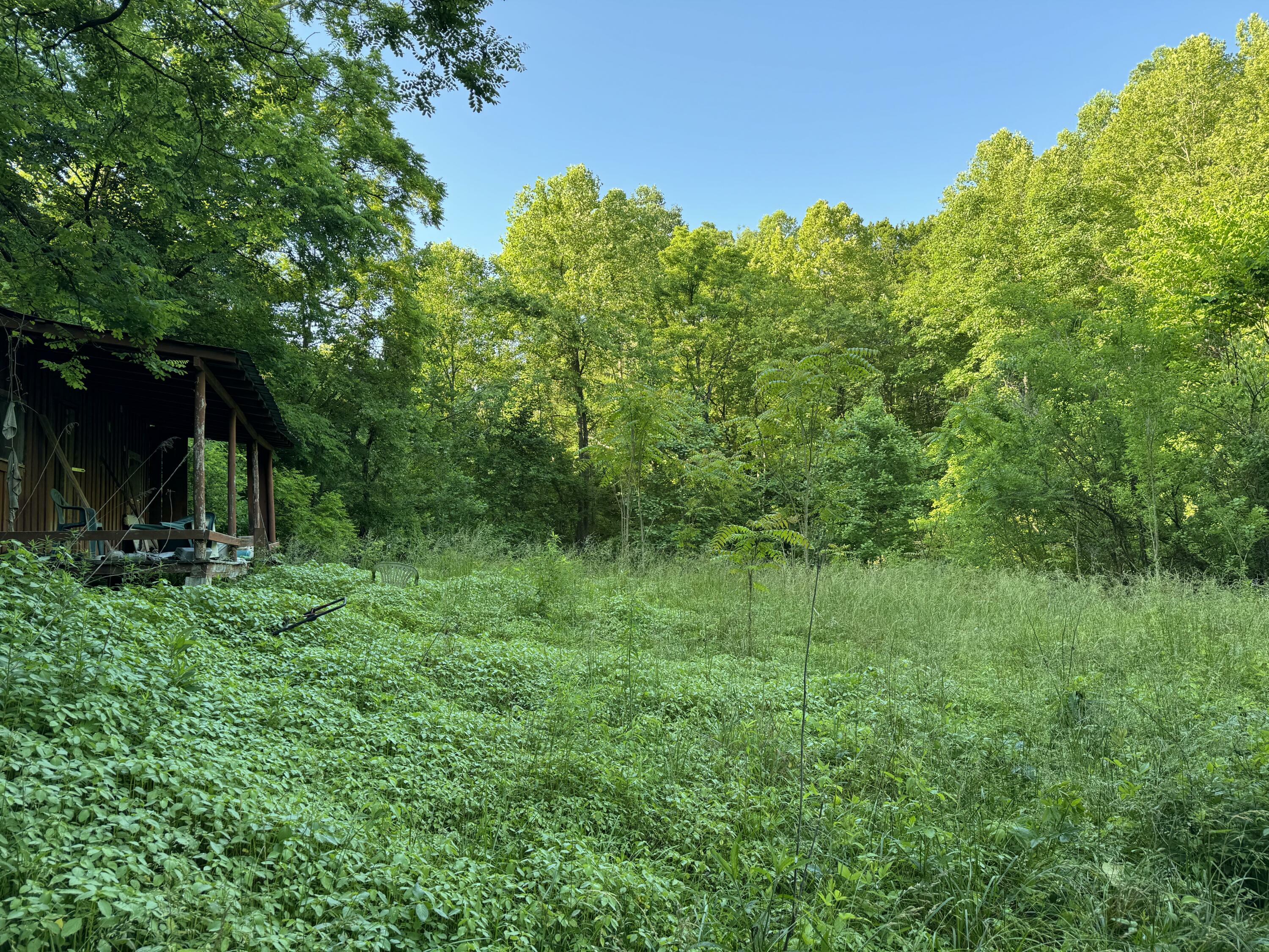 Property Photo:  0 Liza Allen Road  KY 40403 