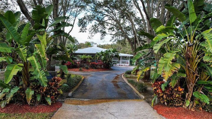 Property Photo:  3544 Enterprise Road E  FL 34695 