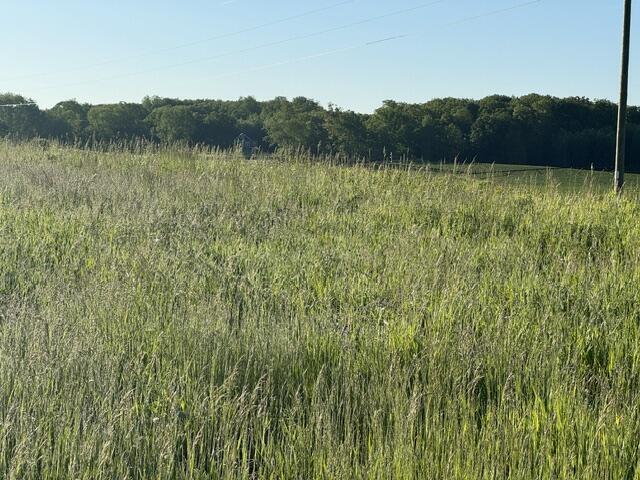 Property Photo: Tbd Buchanan Rd MI 49346