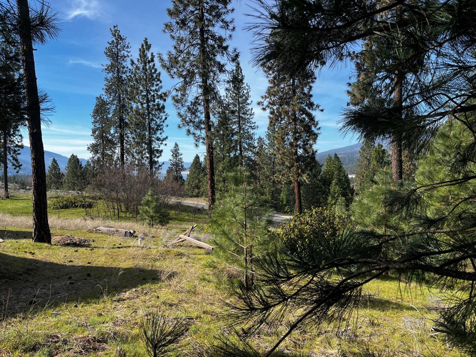Property Photo:  1390 Lookout Point Way  WA 99141 