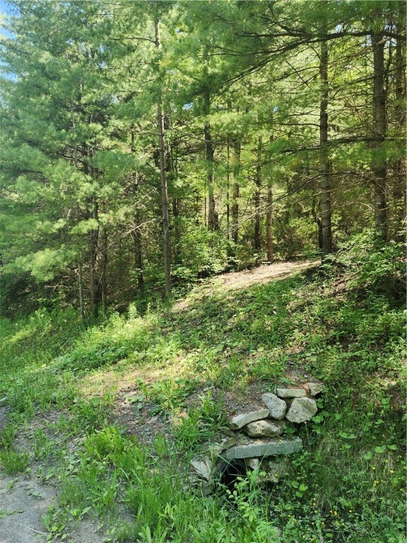 Property Photo:  0 Sand Pit Road  NY 14810 