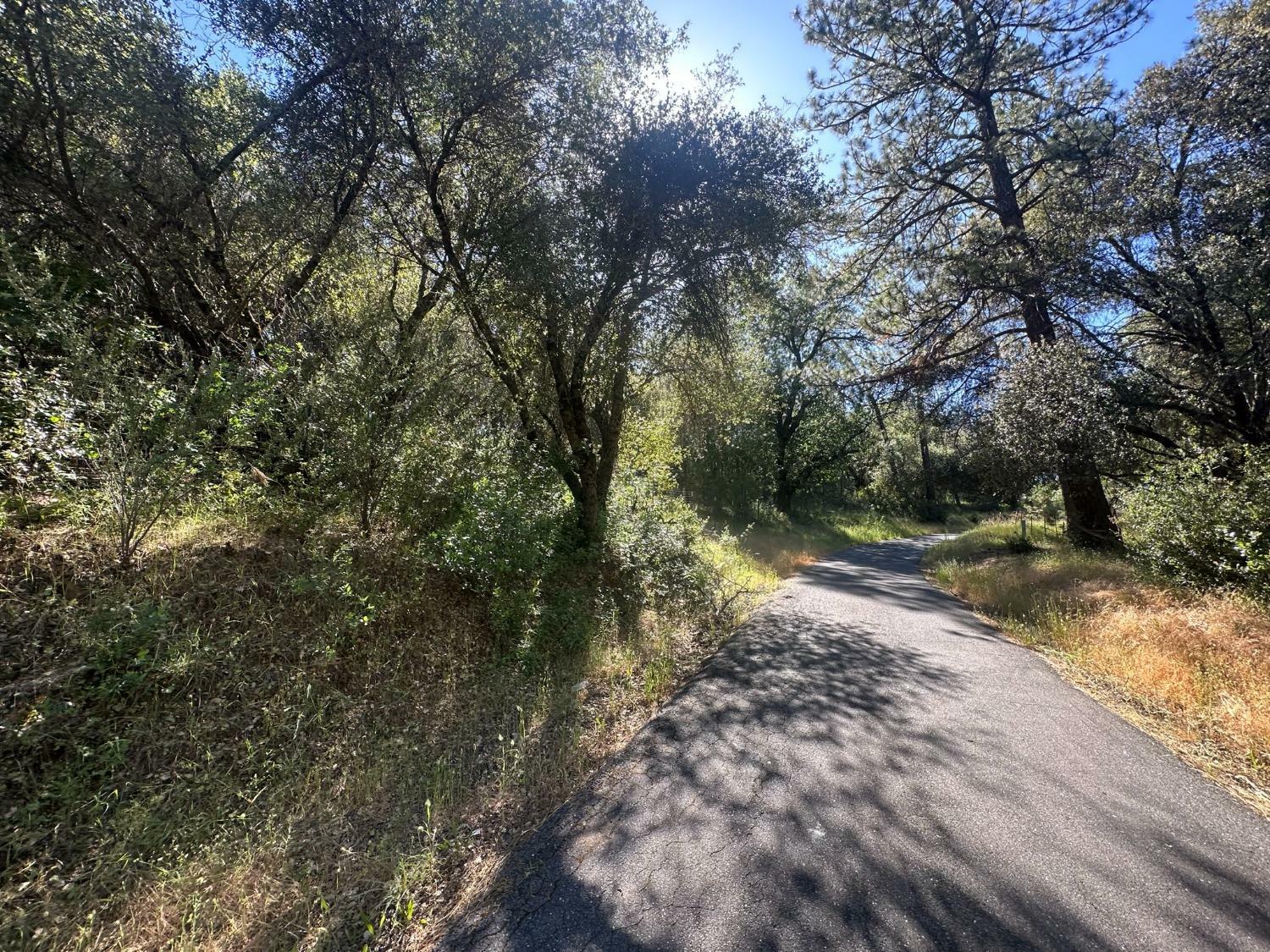 Property Photo:  12717 Armstrong Road  CA 95246 