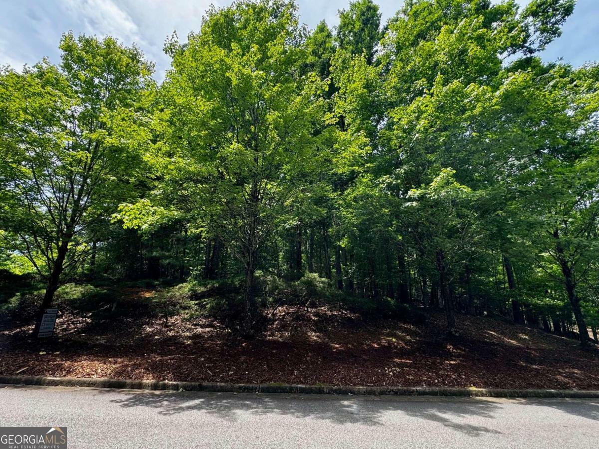 Property Photo:  680 Mitchell Bridge Road Tract 1  GA 30606 