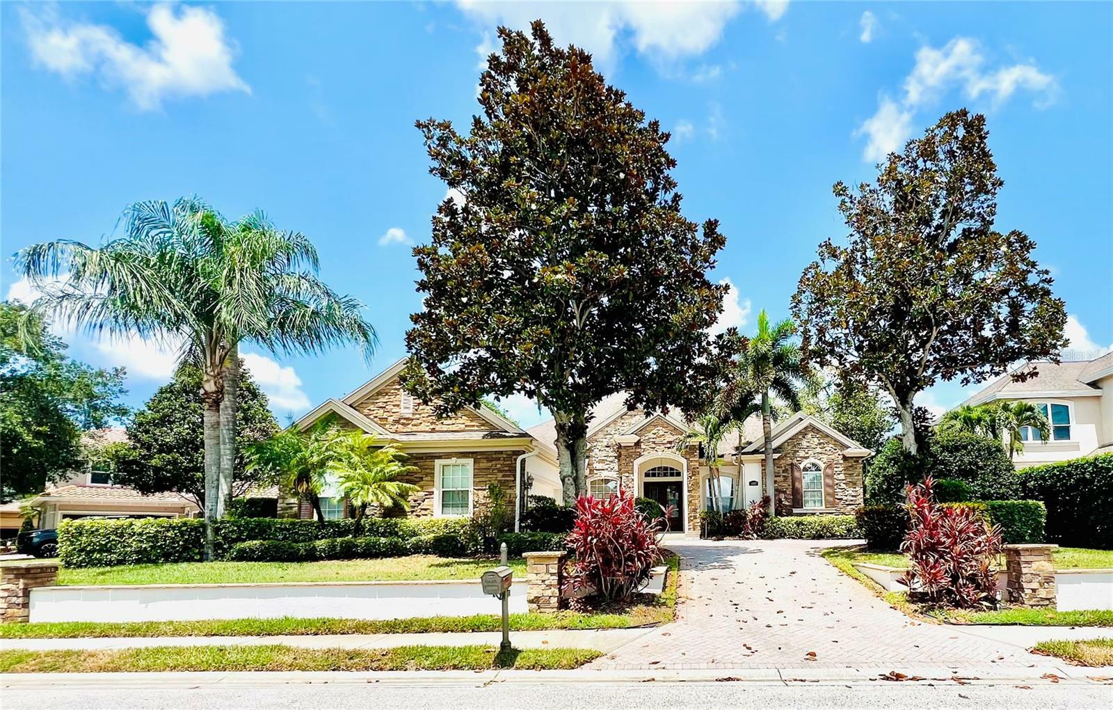 1227 Toscano Drive  Trinity FL 34655 photo