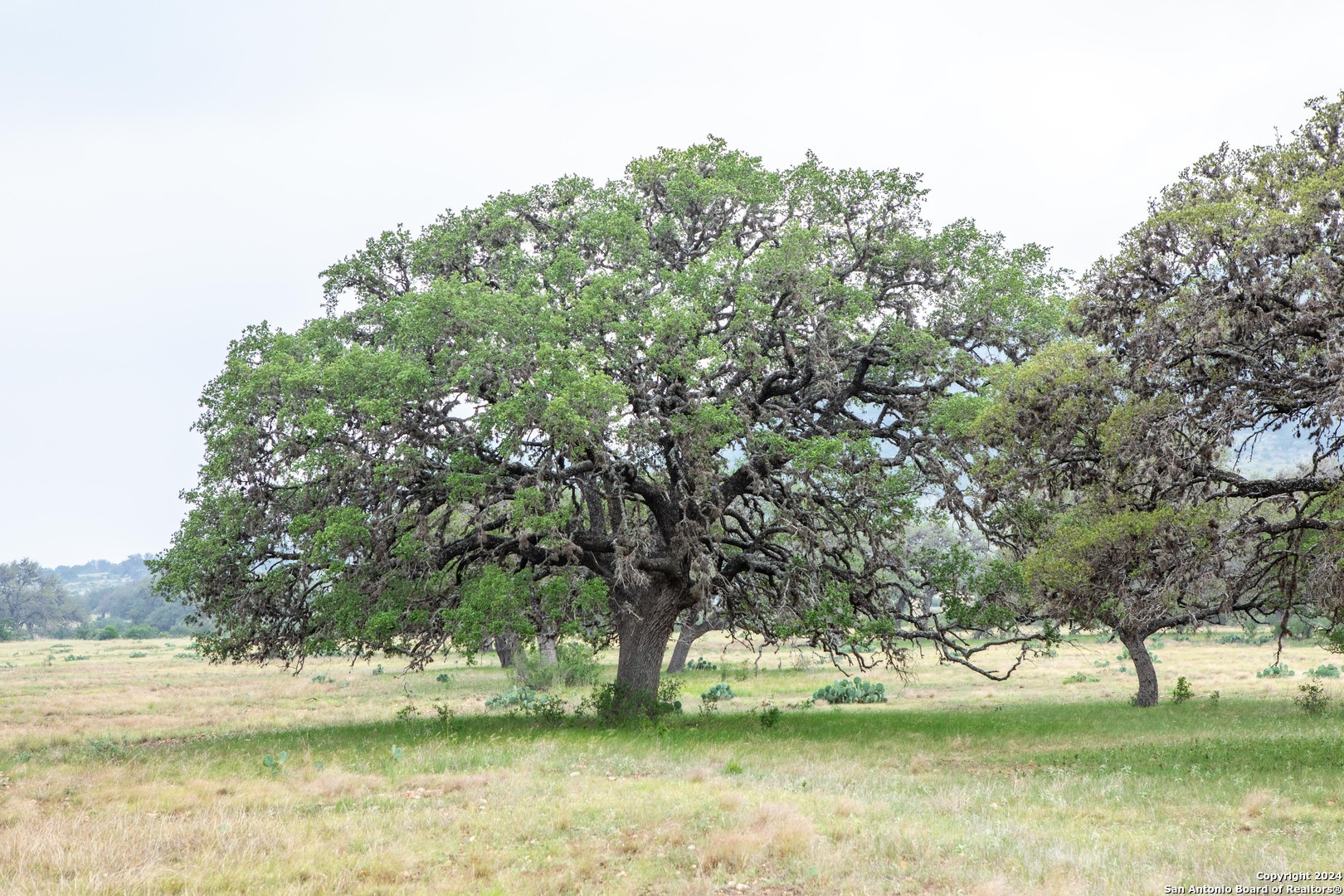 Property Photo: 775 Powers Ranch TX 78873