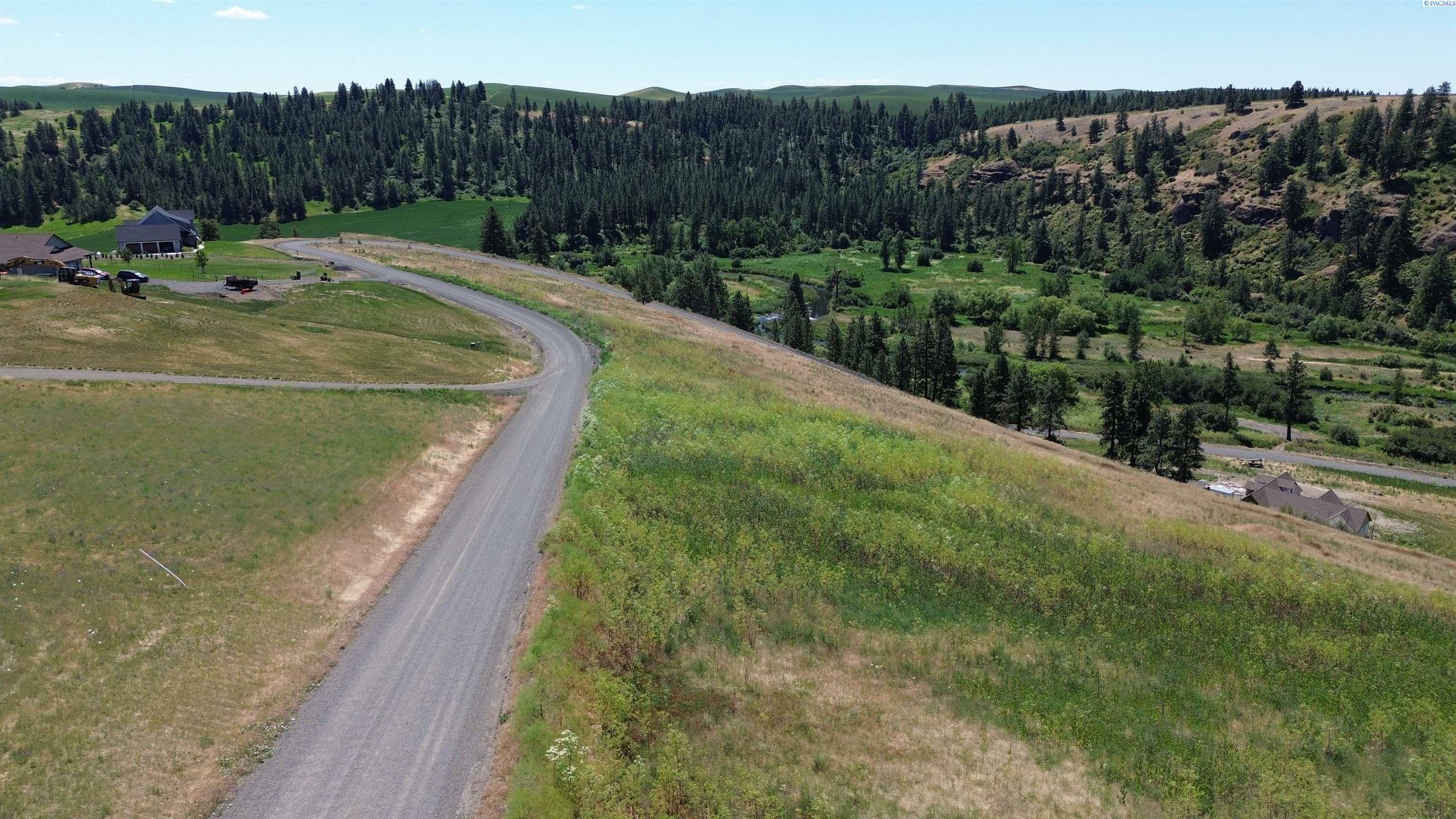 Property Photo:  Lot 32 Red Tail Ridge  WA 99111 