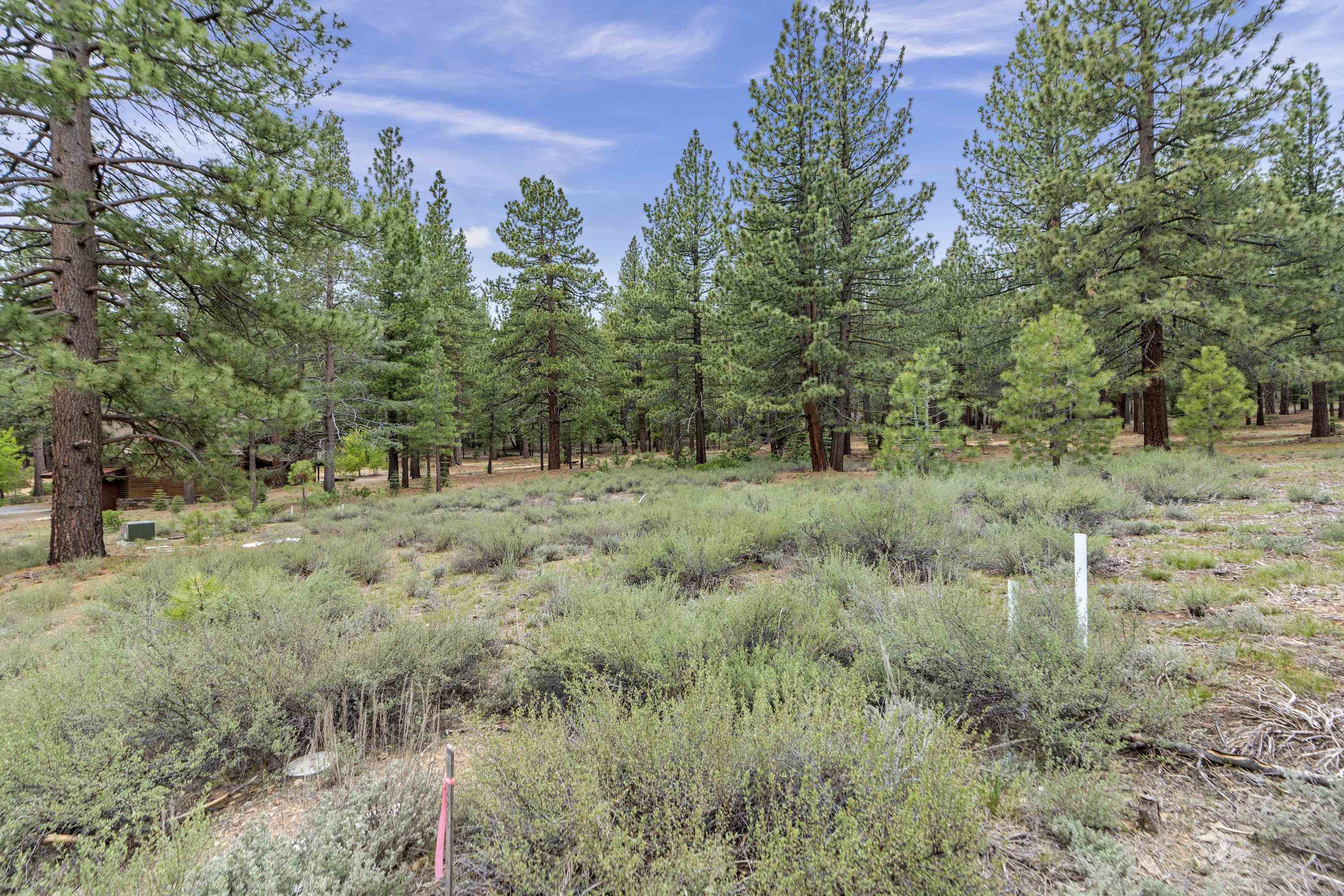 Property Photo:  11690 Bottcher Loop  CA 96161 