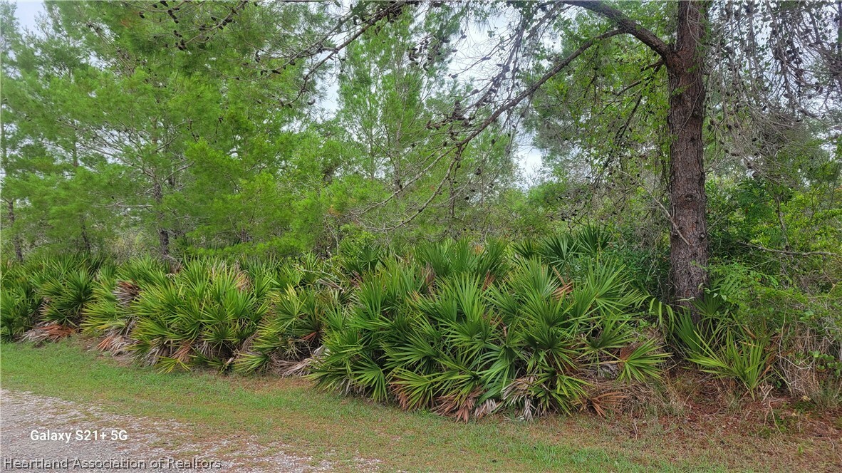 Property Photo:  Lot 10 Blk 57 Ailcanthus Street  FL 33852 