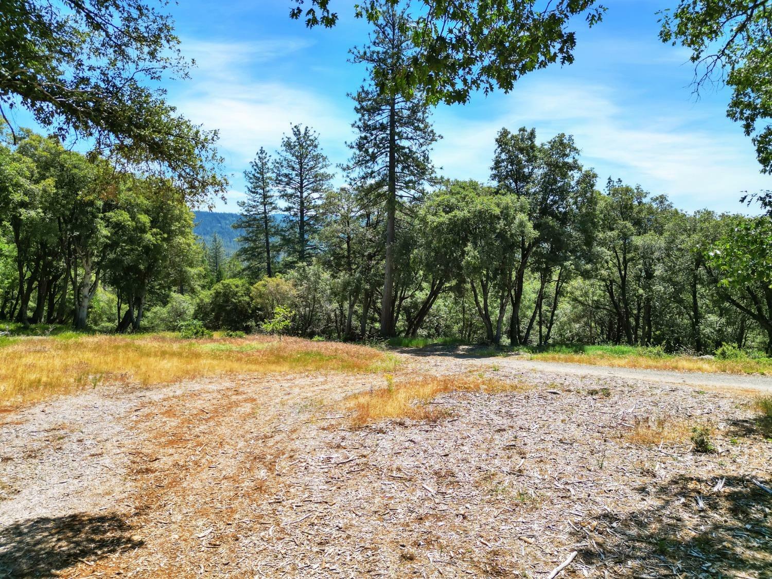 Property Photo:  10441 Rim Rock Lane  CA 95959 