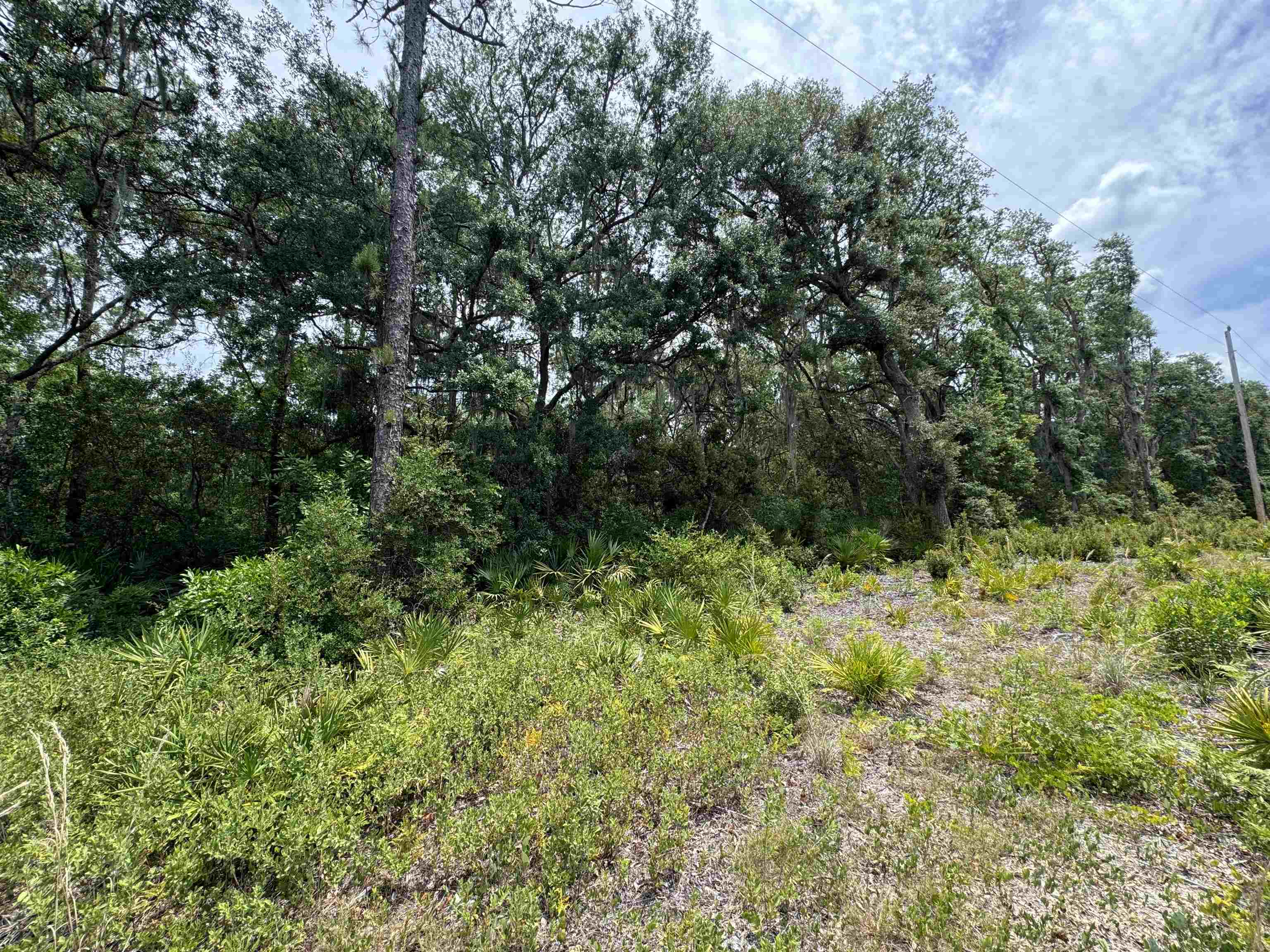 Property Photo:  0 Trukey Trot Road  FL 32140 