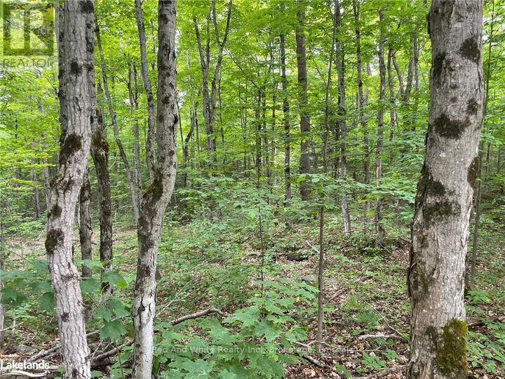 Property Photo:  23 Ahmic Lake Road  ON P0A 1A0 