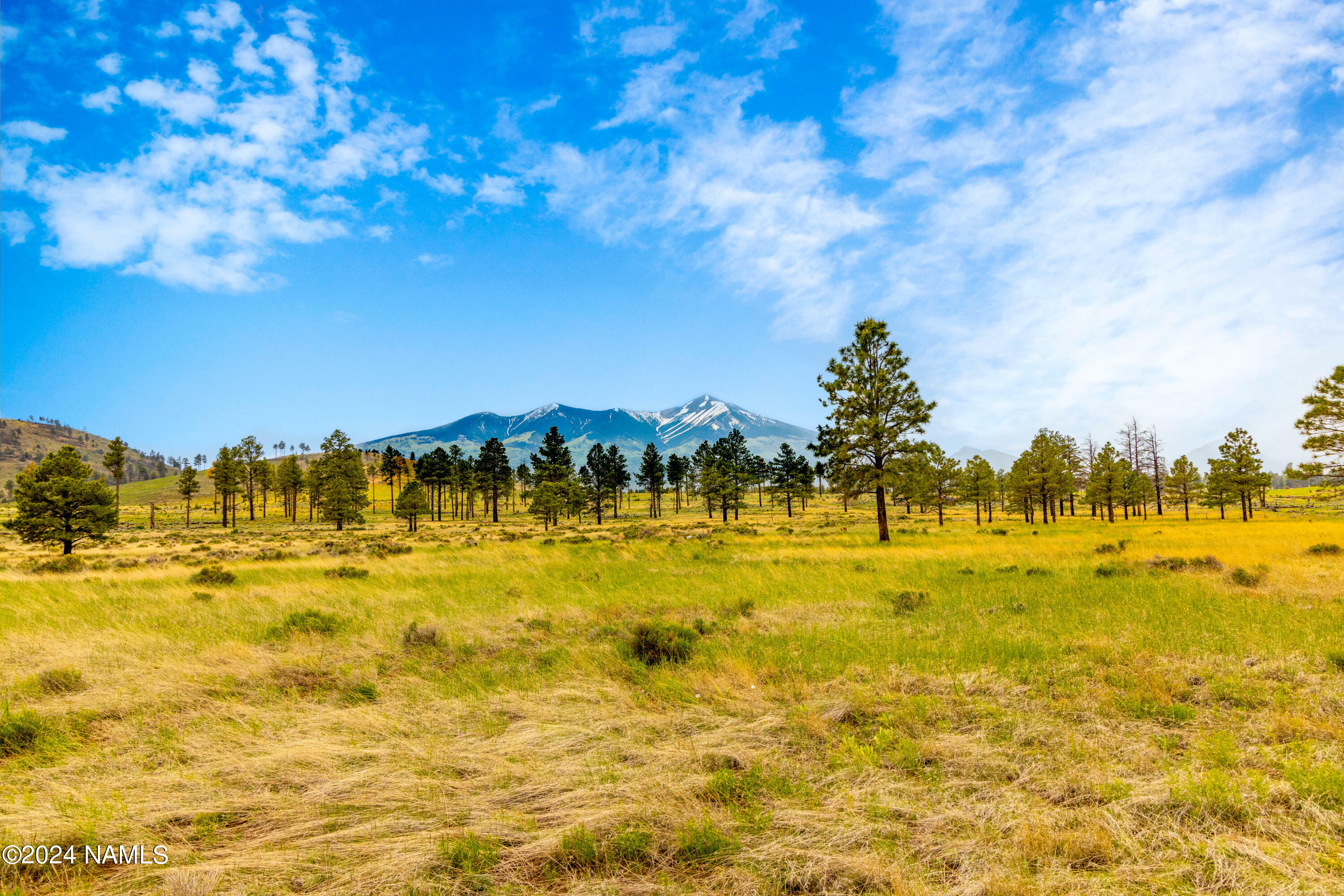 0 Snow Bowl Estates 2, Lot 7  Flagstaff AZ 86001 photo